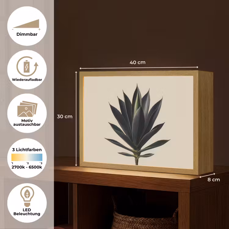 Agaveplant - Symmetrisch - Groen Light Box met batterij (Wandlamp) middel -USP_websiteoverzichtDE
