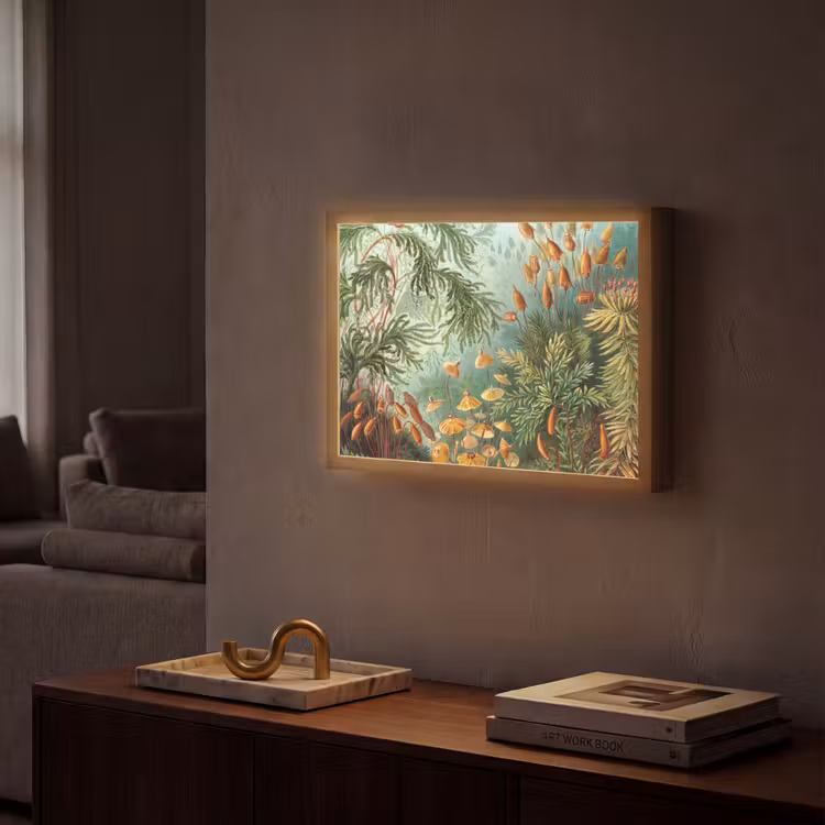 Oude meesters - Kunst - Muscinae - Haeckel Light Box met batterij (Wandlamp) middel -sfeer1
