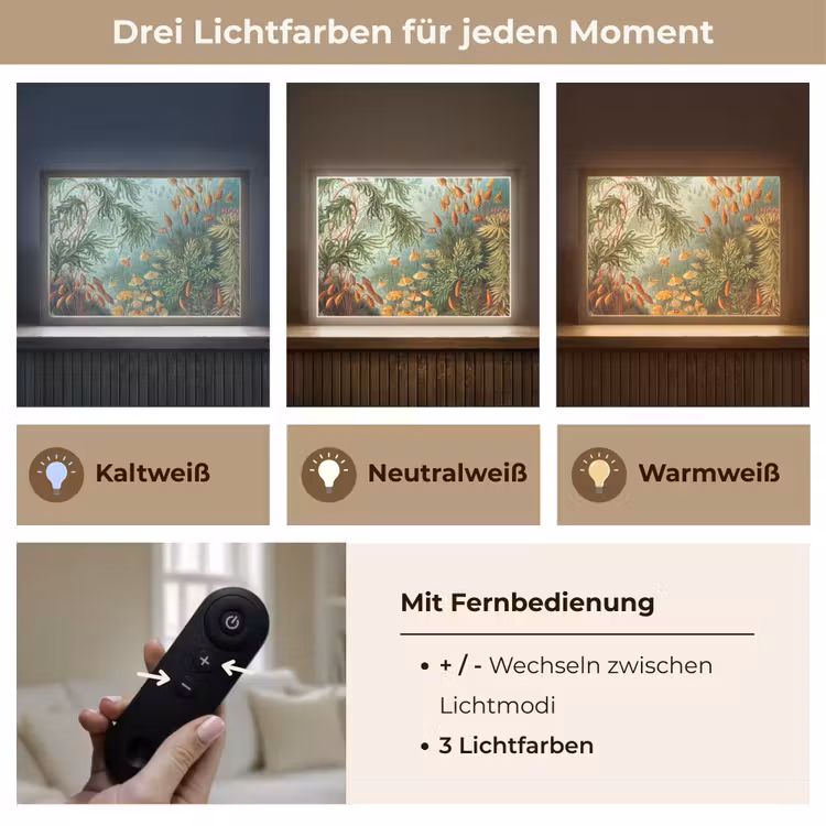 Oude meesters - Kunst - Muscinae - Haeckel Light Box met batterij (Wandlamp) middel -USP_lichtkleurDE