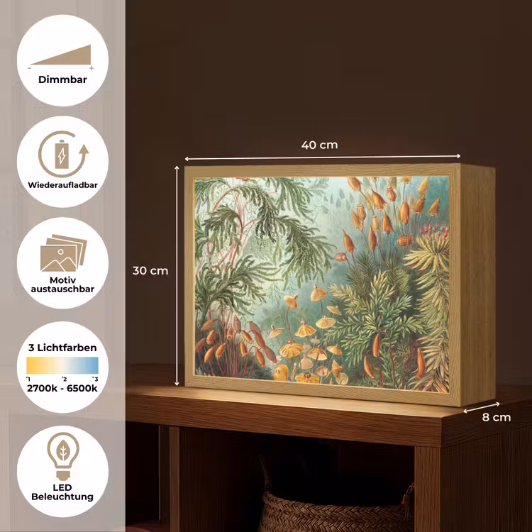 Oude meesters - Kunst - Muscinae - Haeckel Light Box met batterij (Wandlamp) middel -USP_websiteoverzichtDE