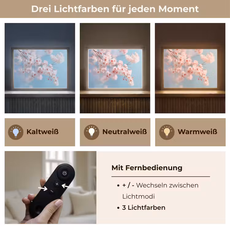 Takken - Bloesems - Roze Light Box met batterij (Wandlamp) middel -USP_lichtkleurDE