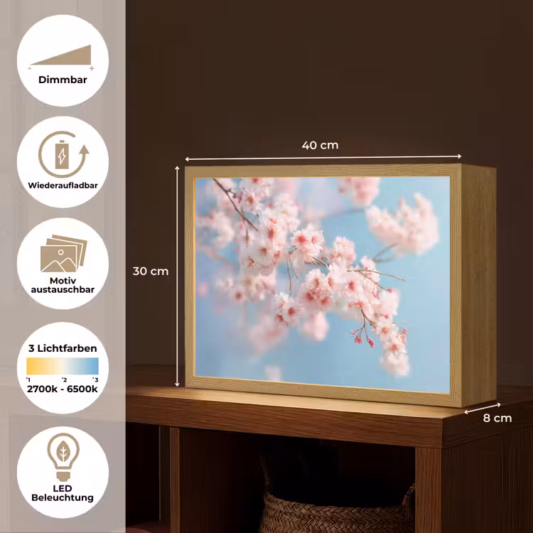Takken - Bloesems - Roze Light Box met batterij (Wandlamp) middel -USP_websiteoverzichtDE