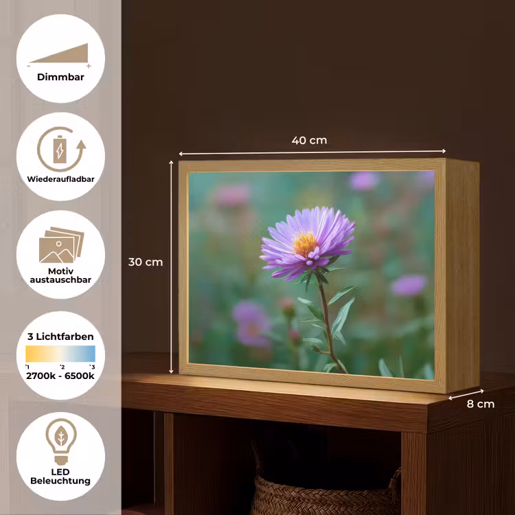 Aster - Paars - Bloem - Blaadjes Light Box met batterij (Wandlamp) middel -USP_websiteoverzichtDE