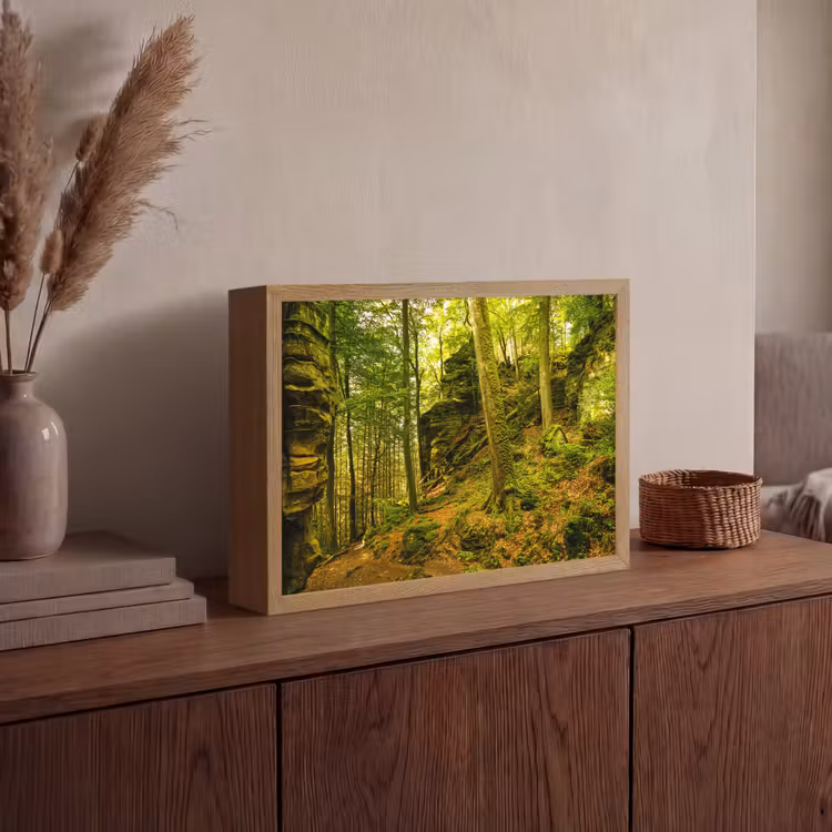Bomen - Steen - Bos - Natuur - Planten Light Box met batterij (Wandlamp) middel -sfeer2