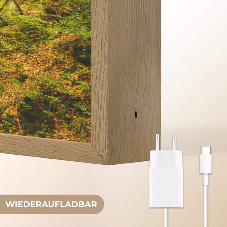 Bomen - Steen - Bos - Natuur - Planten Light Box met batterij (Wandlamp) middel -USP_websiteoplaadbaarDE