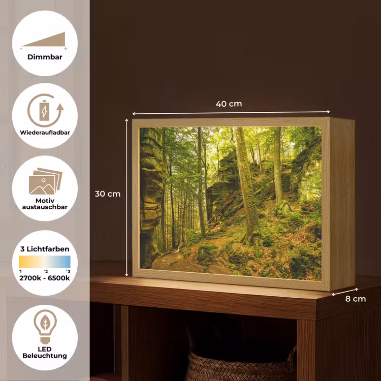 Bomen - Steen - Bos - Natuur - Planten Light Box met batterij (Wandlamp) middel -USP_websiteoverzichtDE