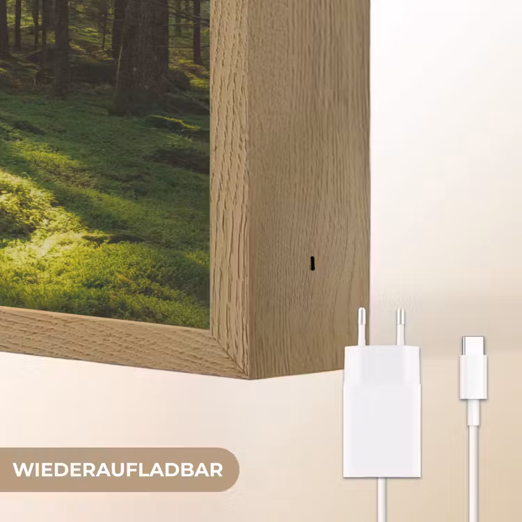 Bomen - Bos - Mos - Planten - Zon - Natuur Light Box met batterij (Wandlamp) middel -USP_websiteoplaadbaarDE