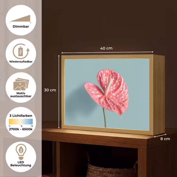 Blad - Anthurium - Stippen - Roze Light Box met batterij (Wandlamp) middel -USP_websiteoverzichtDE