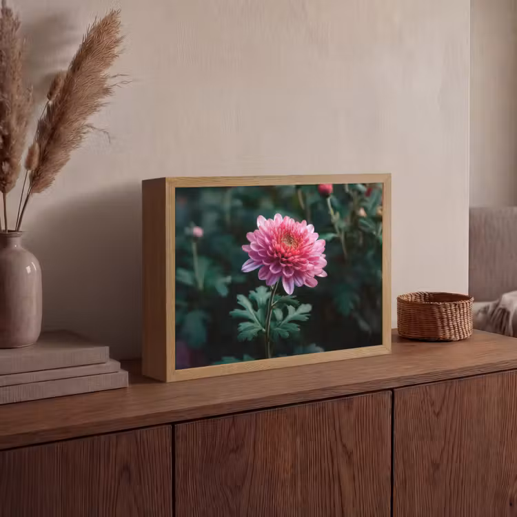 Blad - Chrysant - Roze - Schaduw Light Box met batterij (Wandlamp) middel -sfeer2