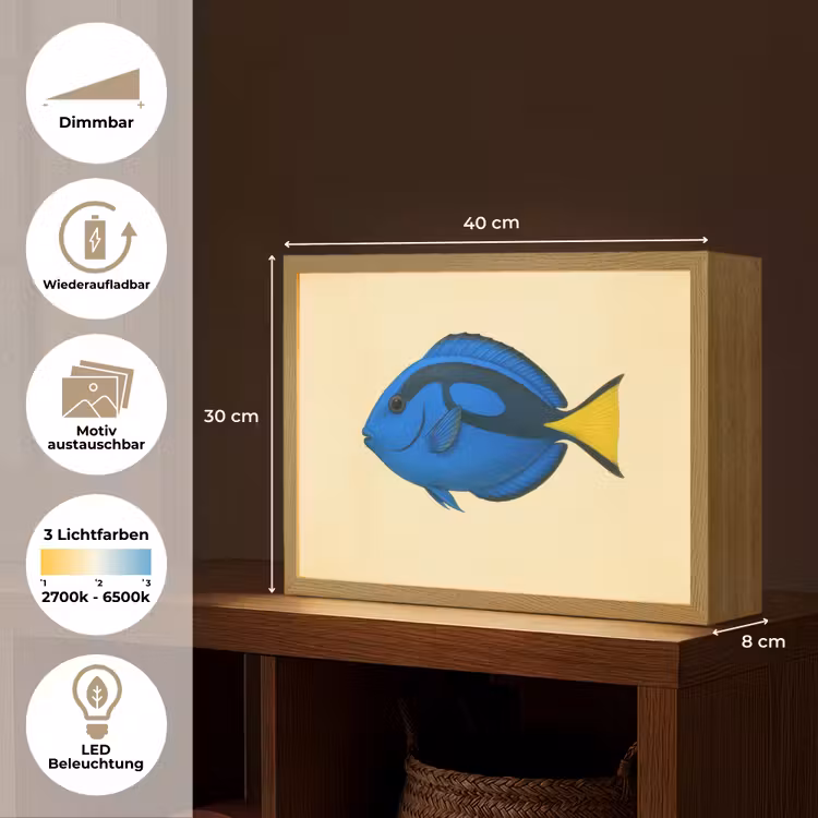 Blauw - Dory - Vis - Staartvin Light Box met batterij (Wandlamp) middel -USP_websiteoverzichtDE