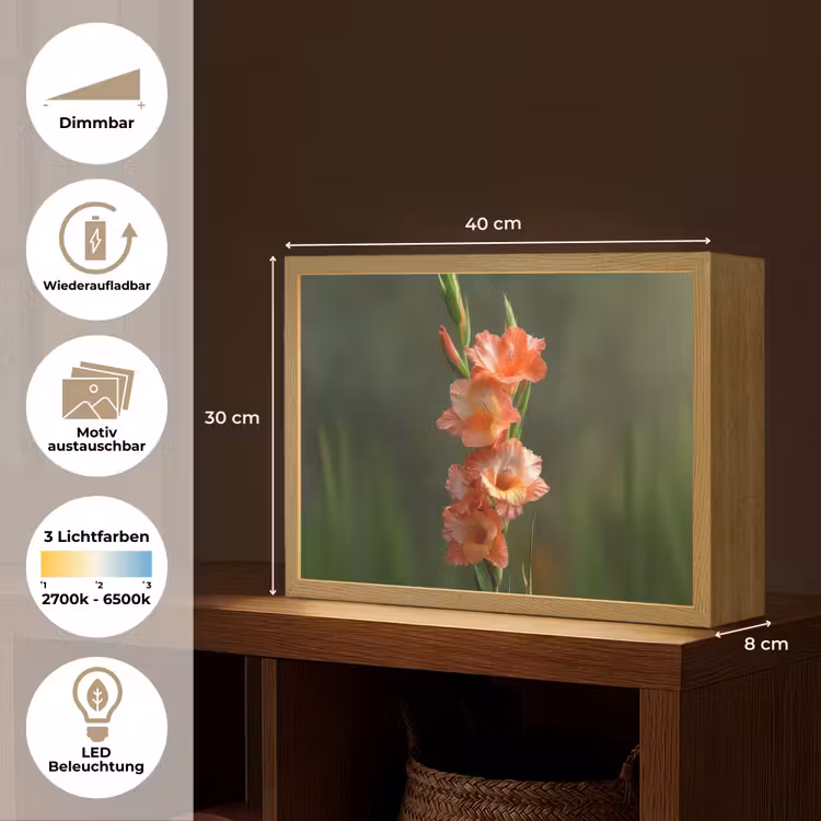 Bloem - Gladiolen - Zalmroze Light Box met batterij (Wandlamp) middel -USP_websiteoverzichtDE