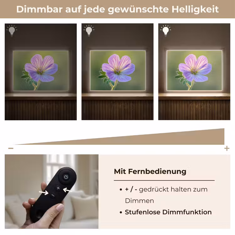 Bloem - Close up - Paars Light Box met batterij (Wandlamp) middel -USP_dimbaarDE