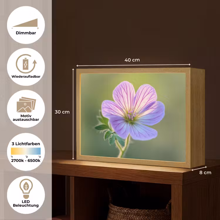 Bloem - Close up - Paars Light Box met batterij (Wandlamp) middel -USP_websiteoverzichtDE