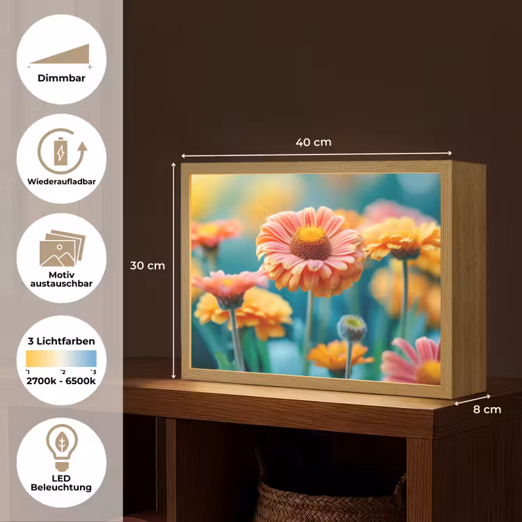 Bloemen - Kleurrijk - Natuur - Gerbera Light Box met batterij (Wandlamp) middel -USP_websiteoverzichtDE