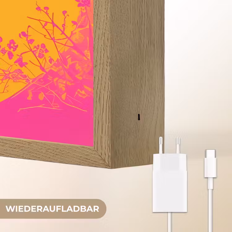 Bloemen - Vrouw - Kimono - Roze Light Box met batterij (Wandlamp) middel -USP_websiteoplaadbaarDE