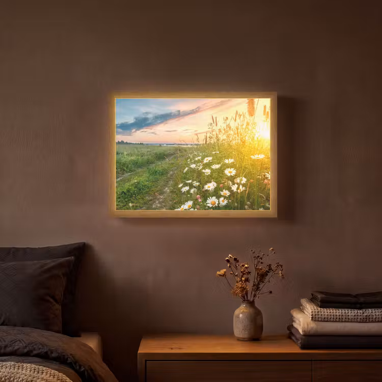Bloemen - Madelief - Natuur - Zon - Horizon Light Box met batterij (Wandlamp) middel -sfeer4