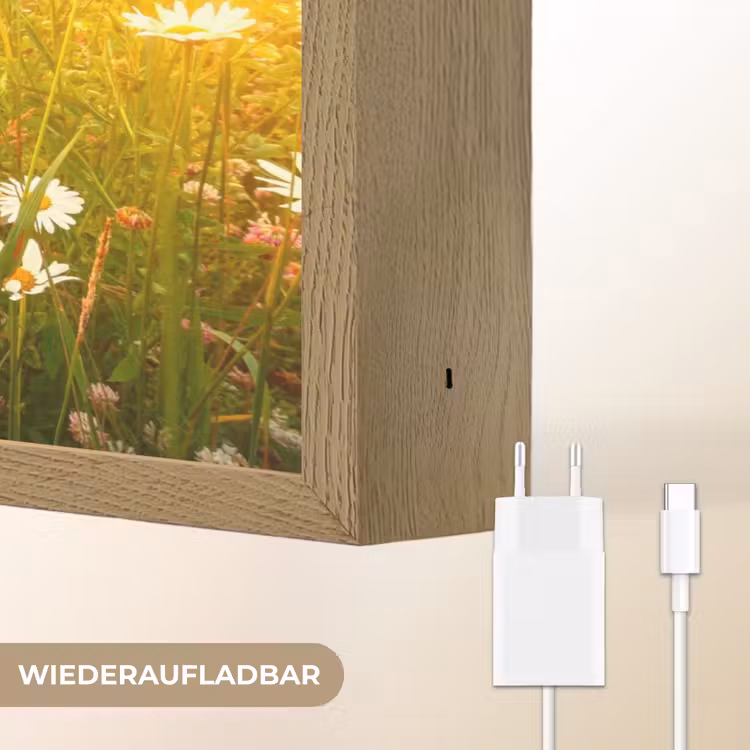 Bloemen - Madelief - Natuur - Zon - Horizon Light Box met batterij (Wandlamp) middel -USP_websiteoplaadbaarDE