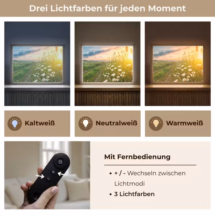 Bloemen - Madelief - Natuur - Zon - Horizon Light Box met batterij (Wandlamp) middel -USP_lichtkleurDE