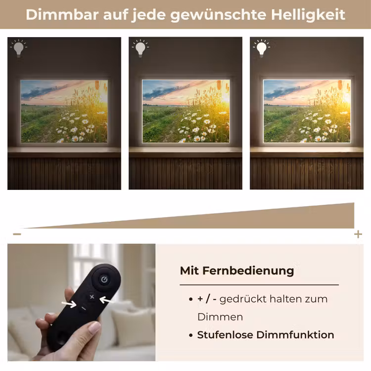 Bloemen - Madelief - Natuur - Zon - Horizon Light Box met batterij (Wandlamp) middel -USP_dimbaarDE