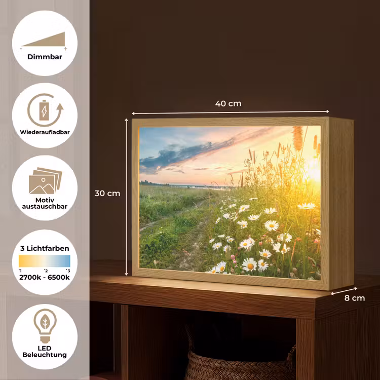 Bloemen - Madelief - Natuur - Zon - Horizon Light Box met batterij (Wandlamp) middel -USP_websiteoverzichtDE