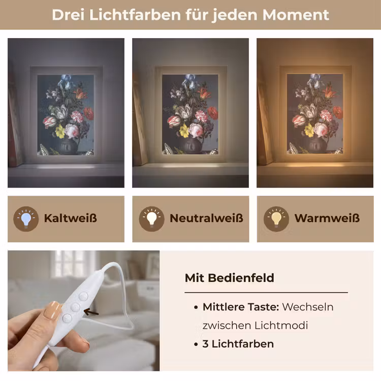 Bloemen in een vaas met schelpen en insecten - Balthasar van der Ast Light Box met kabel (Wandlamp) klein -USP_lichtkleurDE