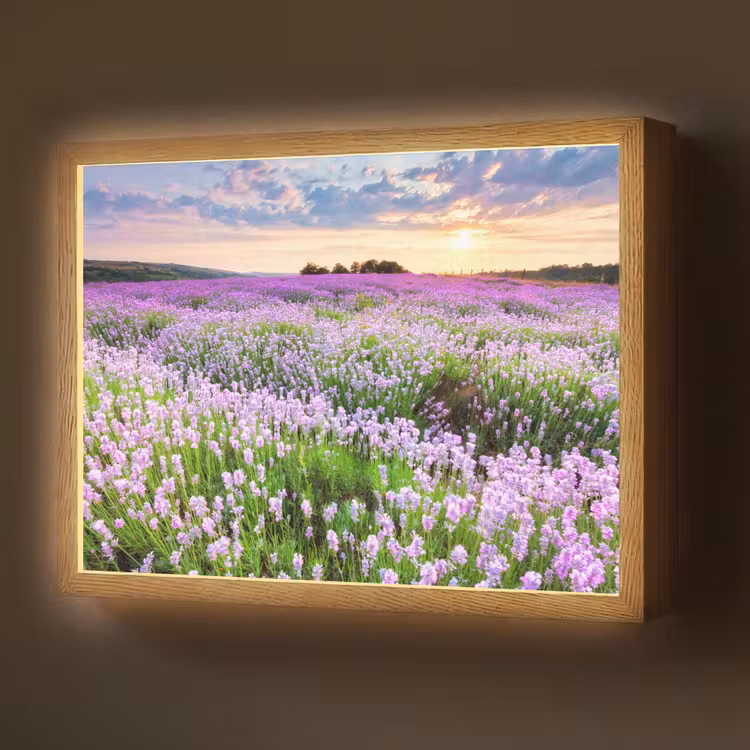 Bloemen - Lavendel - Paars - Lucht - Zonsondergang - Weide - Natuur Light Box met batterij (Wandlamp) middel -z3d_website
