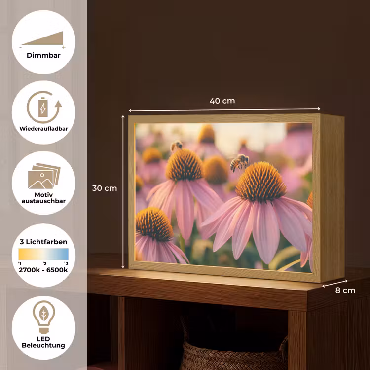 Bloemen - Paars - Bijen Light Box met batterij (Wandlamp) middel -USP_websiteoverzichtDE
