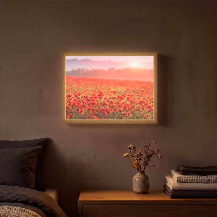 Bloemen - Klaprozen - Rood - Bloemenveld Light Box met batterij (Wandlamp) middel -sfeer4