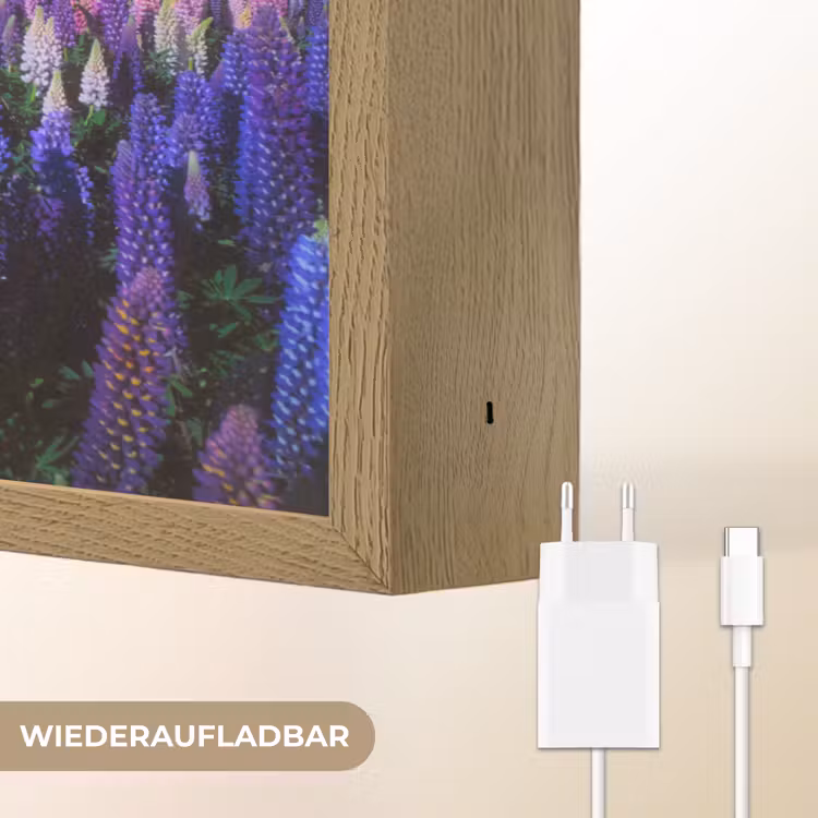 Bloemen - Nacht - Lupine - Sterrenhemel - Paars - Natuur Light Box met batterij (Wandlamp) middel -USP_websiteoplaadbaarDE