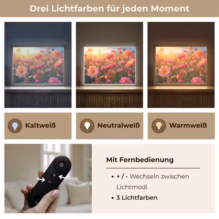 Bloemen - Rozen - Natuur - Roze - Bloem Light Box met batterij (Wandlamp) middel -USP_lichtkleurDE