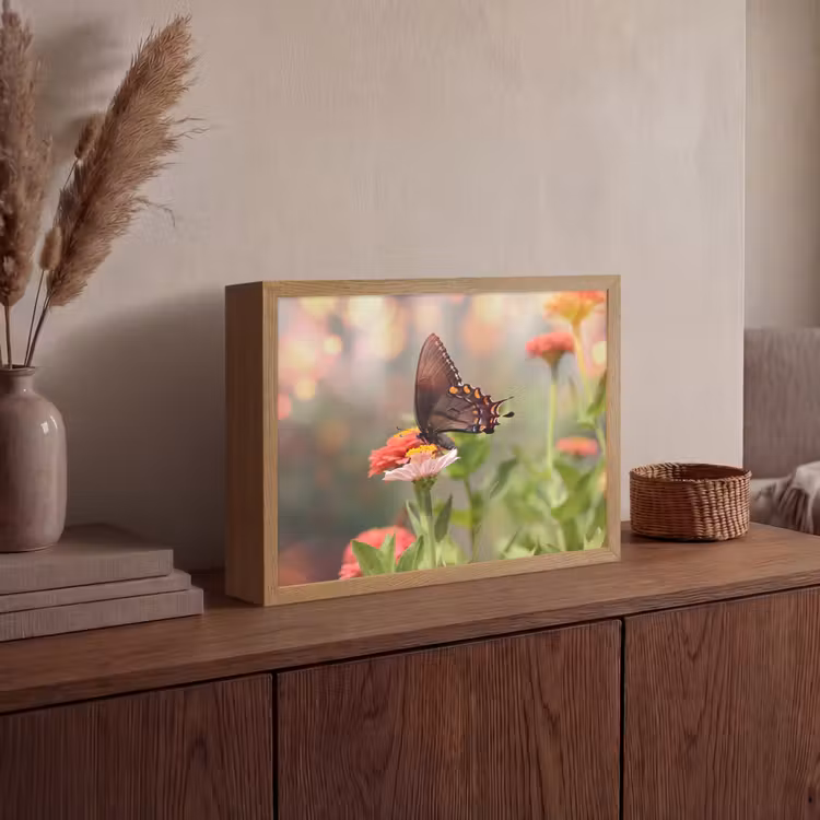 Bloemen - Vlinder - Natuur - Bloem Light Box met batterij (Wandlamp) middel -sfeer2