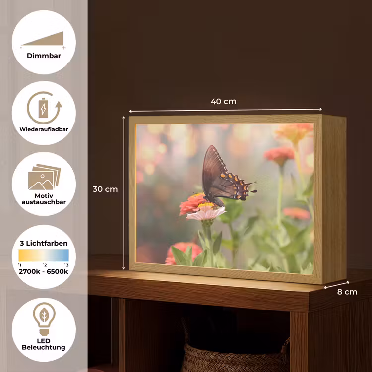 Bloemen - Vlinder - Natuur - Bloem Light Box met batterij (Wandlamp) middel -USP_websiteoverzichtDE