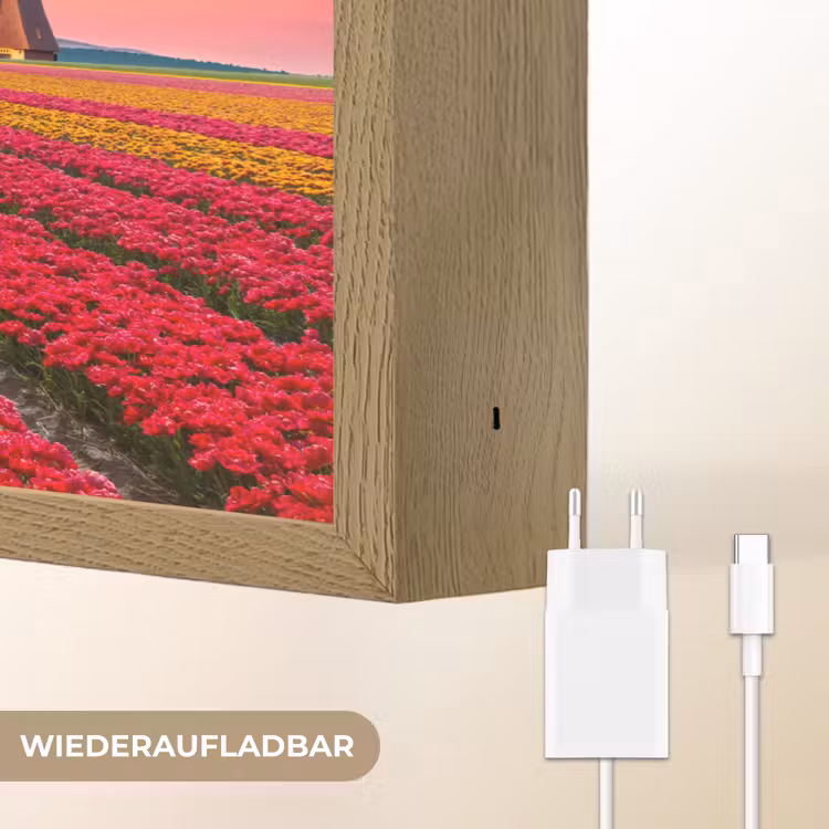 Bloemen - Tulpen - Bloemenveld - Molens - Holland Light Box met batterij (Wandlamp) middel -USP_websiteoplaadbaarDE