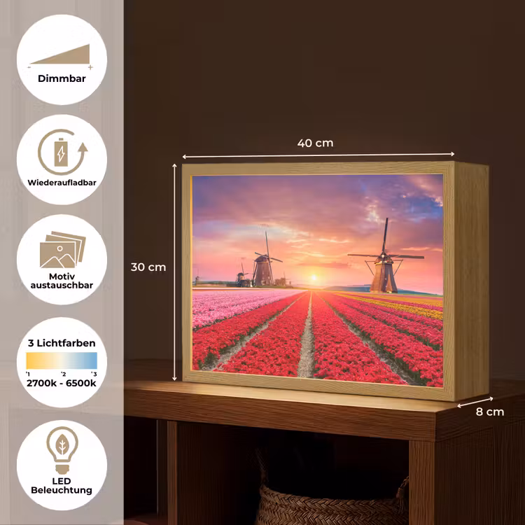 Bloemen - Tulpen - Bloemenveld - Molens - Holland Light Box met batterij (Wandlamp) middel -USP_websiteoverzichtDE