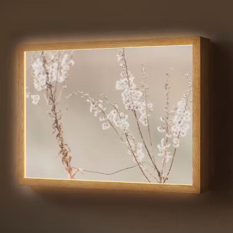 naturals-desenio-ferrari-ai-oqgjw8kshet5yvxz4-3-light-box-met-batterij-wandlamp-middel-z3d-website.jpg