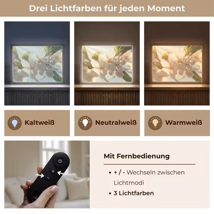 Bloesems - Wit - Zonnestralen - Bloemblaadjes Light Box met batterij (Wandlamp) middel -USP_lichtkleurDE