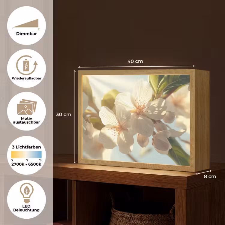 Bloesems - Wit - Zonnestralen - Bloemblaadjes Light Box met batterij (Wandlamp) middel -USP_websiteoverzichtDE