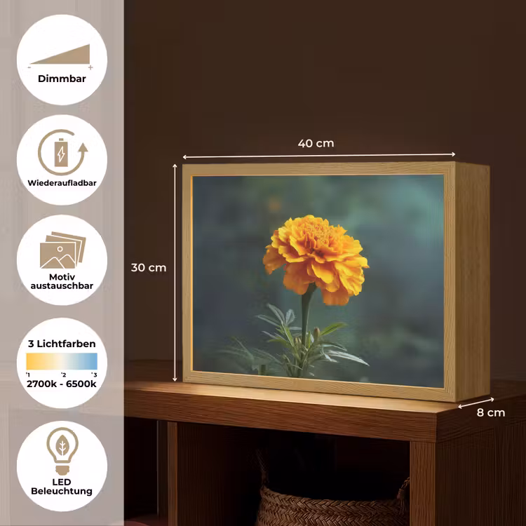 Bloemblaadjes - Afrikaan - Oranje - Wazig Light Box met batterij (Wandlamp) middel -USP_websiteoverzichtDE