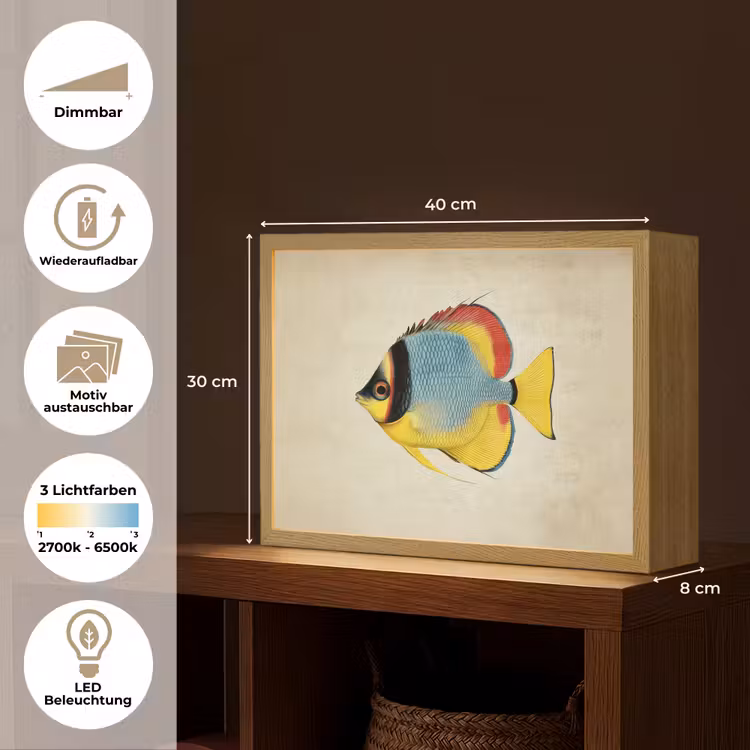 Kleurrijk - Vis - Schubben - Illustratie Light Box met batterij (Wandlamp) middel -USP_websiteoverzichtDE