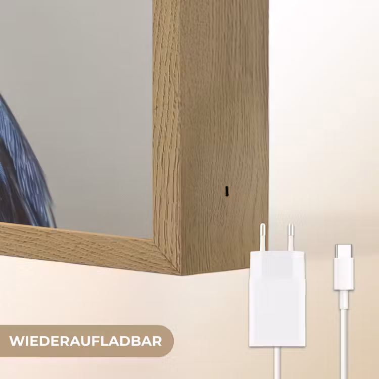 Kleurrijk - Vogeltje - Veren - Blauw Light Box met batterij (Wandlamp) middel -USP_websiteoplaadbaarDE