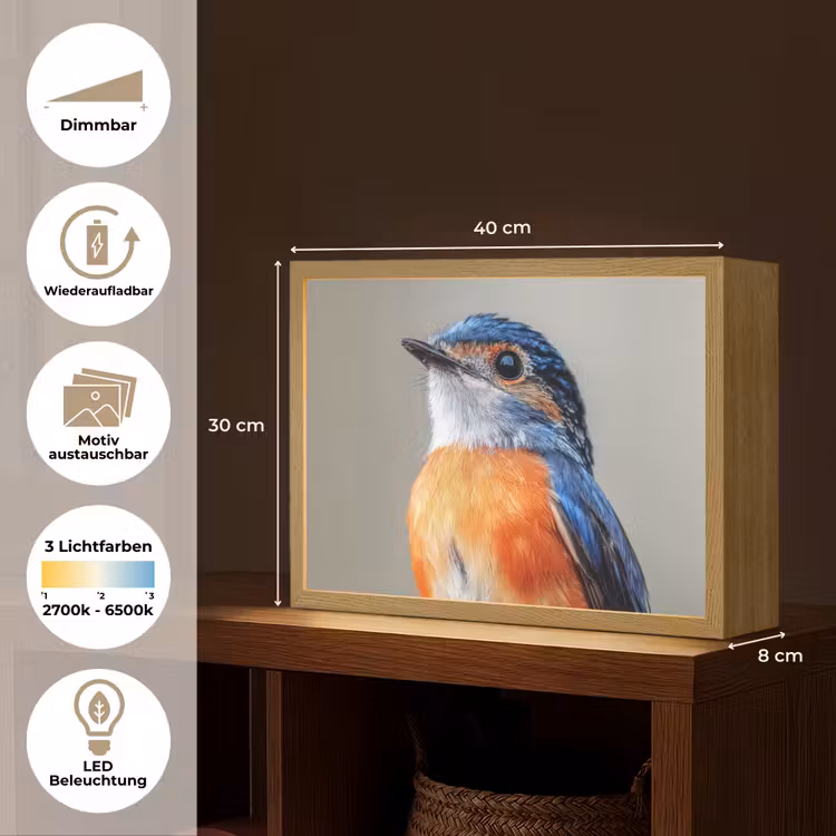 Kleurrijk - Vogeltje - Veren - Blauw Light Box met batterij (Wandlamp) middel -USP_websiteoverzichtDE