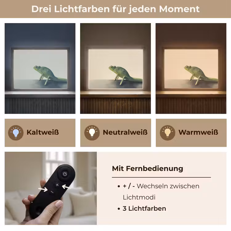 Kameleon - Groen - Minimalistisch Light Box met batterij (Wandlamp) middel -USP_lichtkleurDE
