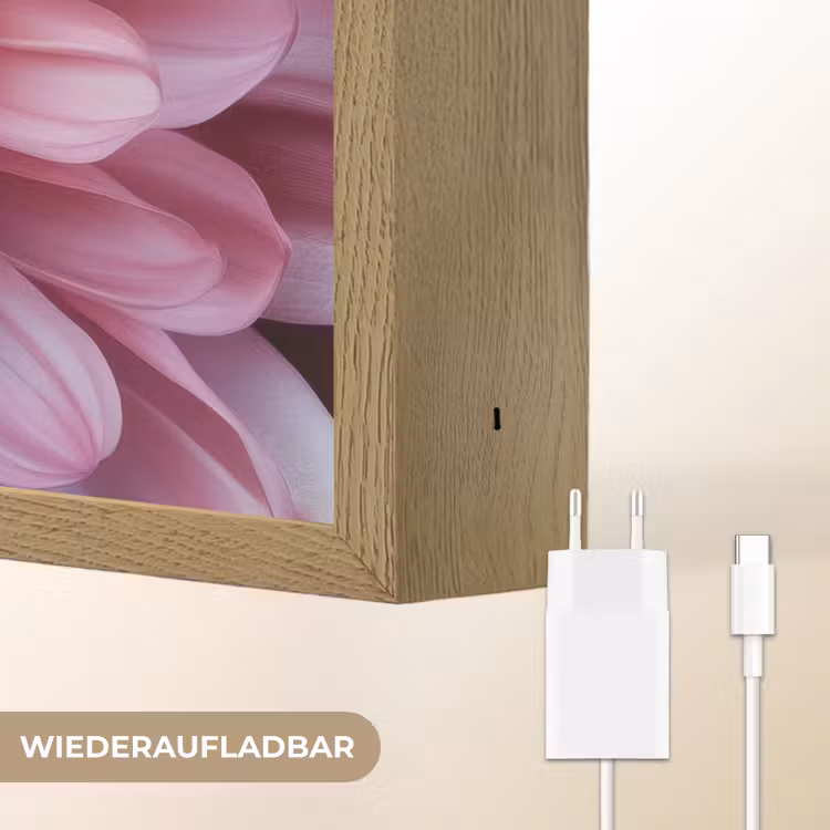 Dahlia - Bloem - Close up - Roze Light Box met batterij (Wandlamp) middel -USP_websiteoplaadbaarDE