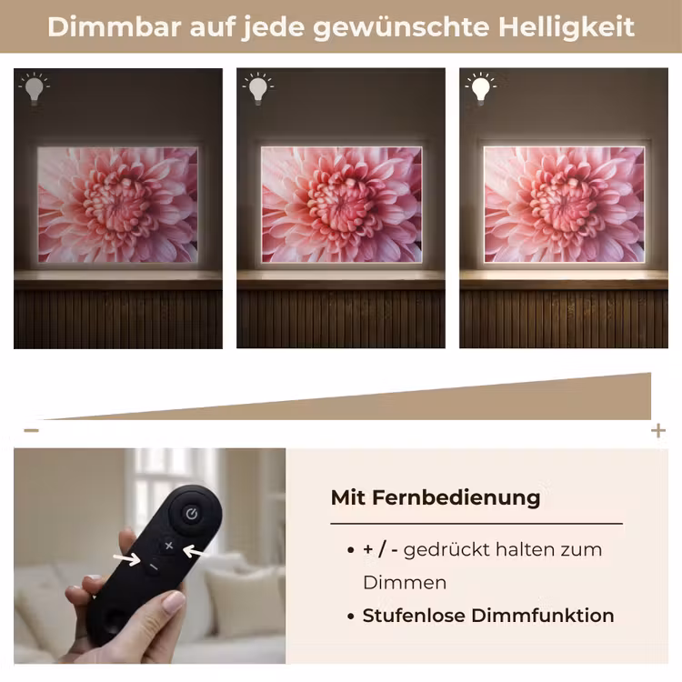 Dahlia - Bloem - Close up - Roze Light Box met batterij (Wandlamp) middel -USP_dimbaarDE