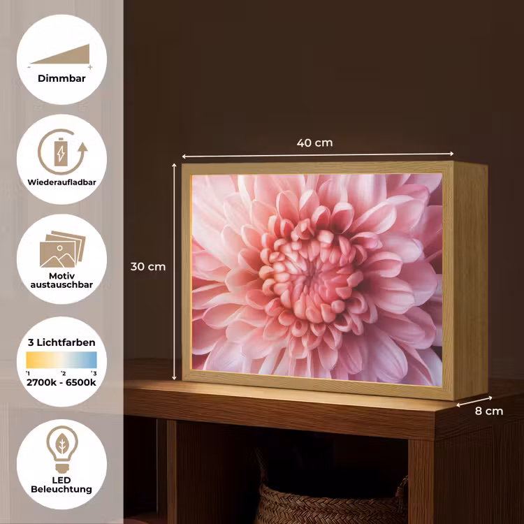 Dahlia - Bloem - Close up - Roze Light Box met batterij (Wandlamp) middel -USP_websiteoverzichtDE