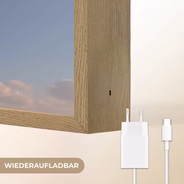Dolfijn - Roze - Astronaut Light Box met batterij (Wandlamp) middel -USP_websiteoplaadbaarDE