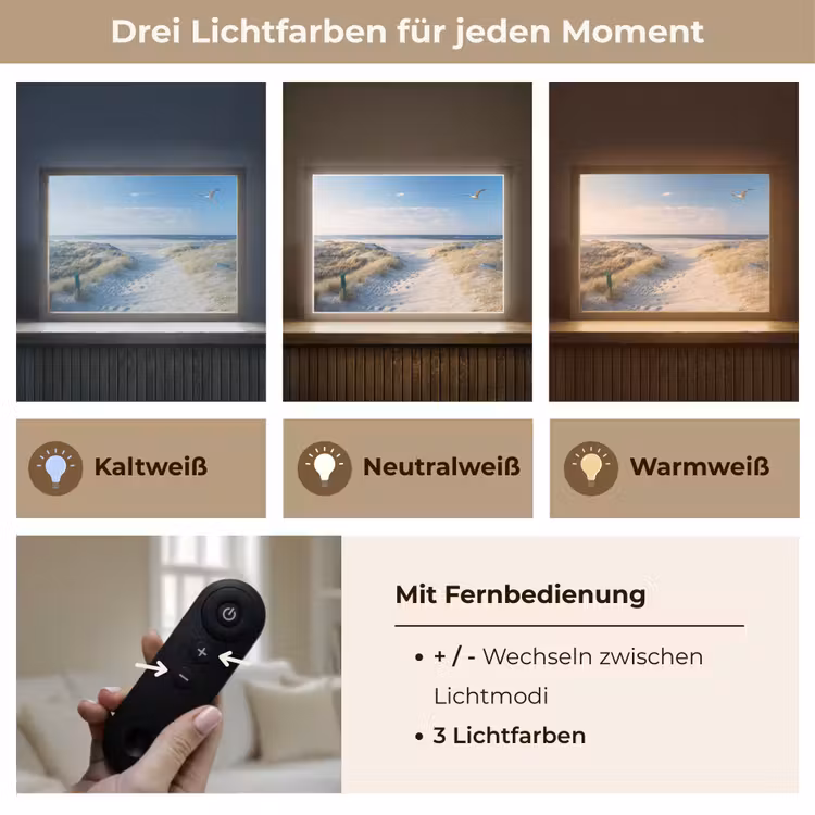 Duin - Meeuw - Strand - Zee - Zon Light Box met batterij (Wandlamp) middel -USP_lichtkleurDE