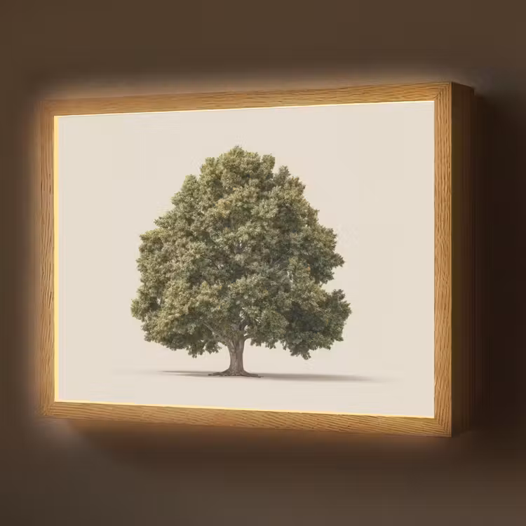 Eikenboom - Groen - Lichte achtergrond Light Box met batterij (Wandlamp) middel -z3d_website