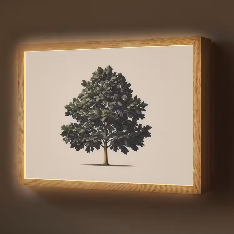 Eikenboom - Schaduw - Egaal Light Box met batterij (Wandlamp) middel -z3d_website