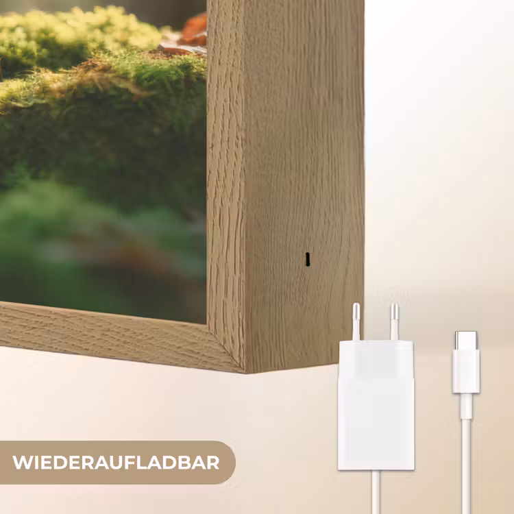 Eekhoorn - Nootje - Gras Light Box met batterij (Wandlamp) middel -USP_websiteoplaadbaarDE